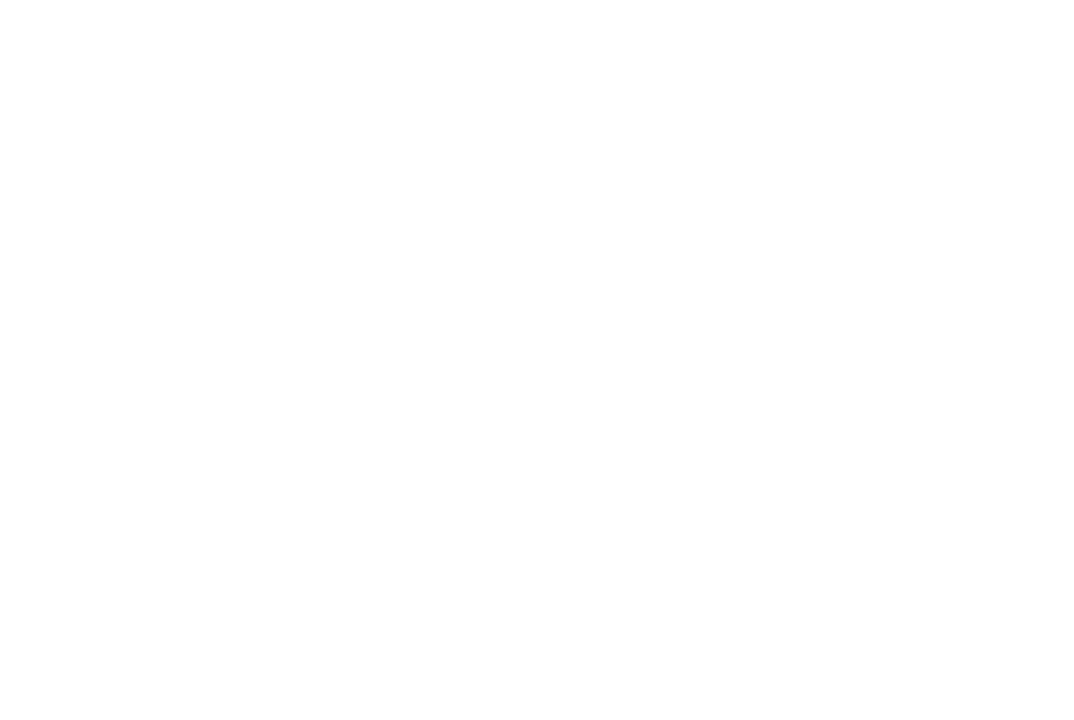 Jungle Gym Duluth